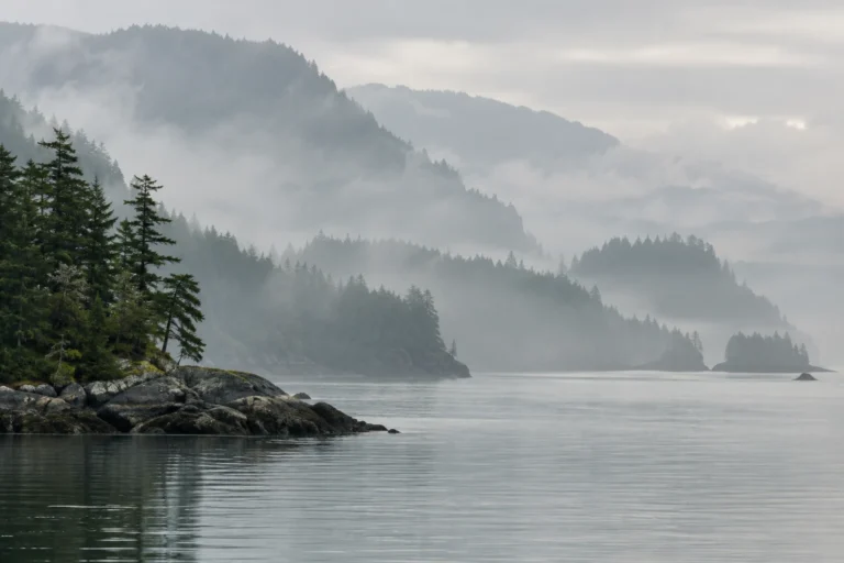 Misty Landscape Photos on Canvas: Keep the Atmosphere, Check the Detail